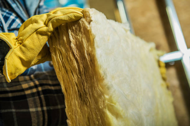 Best Soundproof Insulation Installation  in Beach, ND