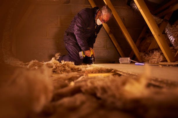 Insulation Repair Services in Beach, ND